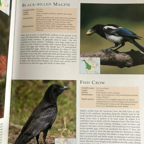 Vtg The Encyclopedia of North American  Birds - Picture 7 of 8